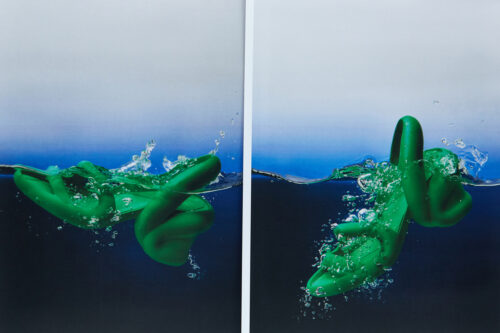 Editorial Still Life photographed by Paulina Manterys