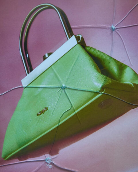 Editorial Still Life photographed by Paulina Manterys