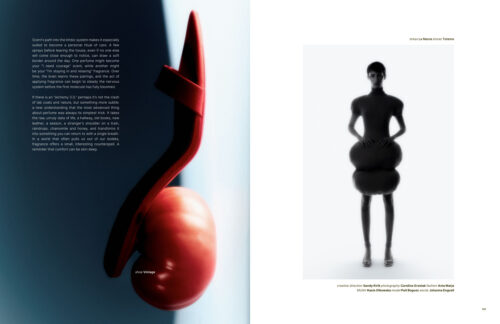 Fashion Editorial for Faith Love Hope Magazine photographed by Caroline Grzelak